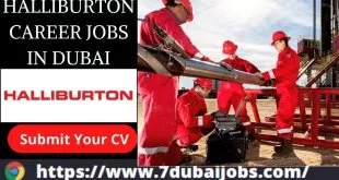 Halliburton Career Jobs In Dubai