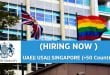 British Embassy Jobs