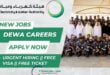 DEWA Careers