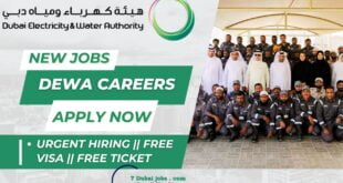 DEWA Careers