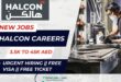 Halcon Careers